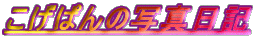 ς̎ʐ^L