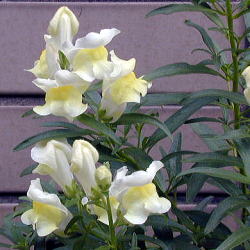 ���̋�����