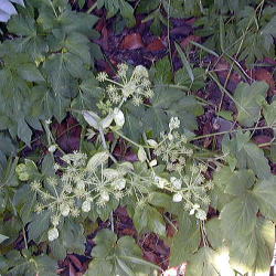 �A�}�j���E