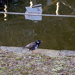 Nh