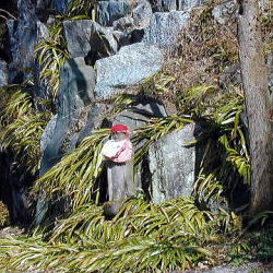 ���n������