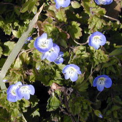 �I�I�C�k�m�t�O��