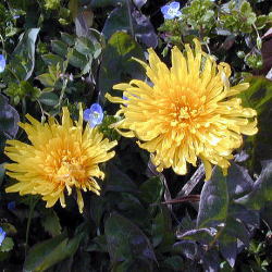 �J���g�E�^���|�|