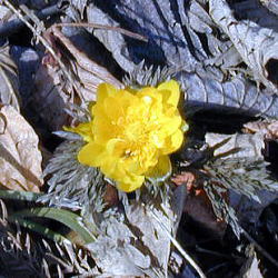 �������P