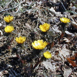 �������Q