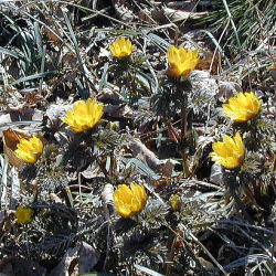 �������R