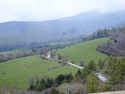 �W�]�䂩��̕��i