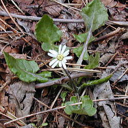 �����^���|�|