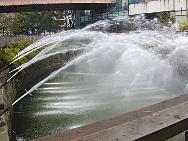 ɕ