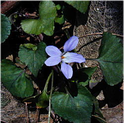 �^�`�c�{�X�~��