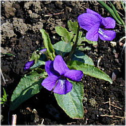 �m�W�X�~���Q