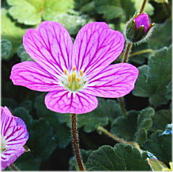 �x�j�o�i�q���t�E��