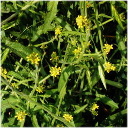 �C�k�J�L�l�K���V