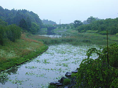 常陸風土記の丘