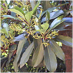 �z�\�o�^�u