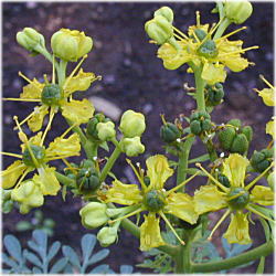 �x�����[�_