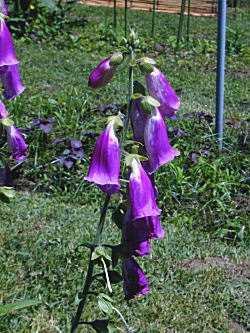 �W�M�^���X��