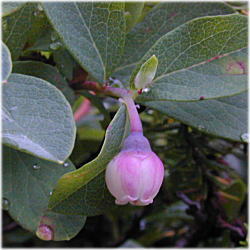 �R�P�����Q