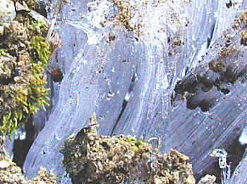 �����A�b�v