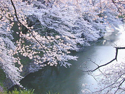 璹R