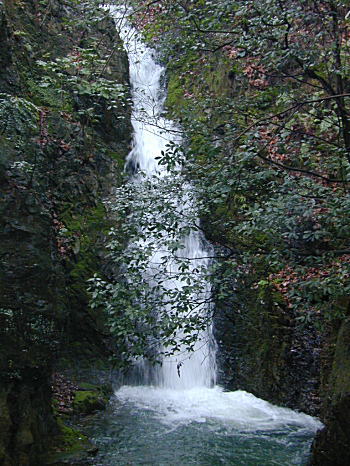 �����̑�