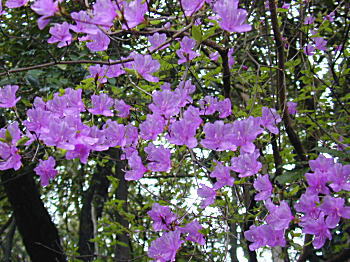 �~�c�o�c�c�W