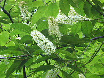 �E���~�Y�T�N��