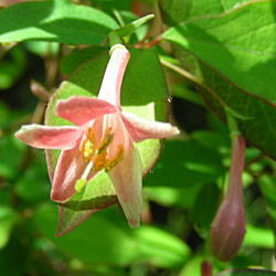EOCXJỎԃAbv