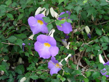 R_`nYJY