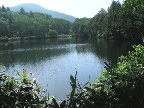 三角池