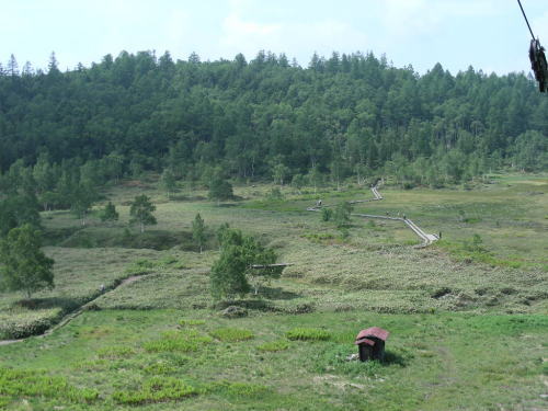 �c�m������