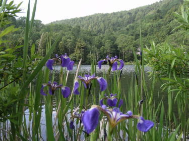 �،˒r�̂����