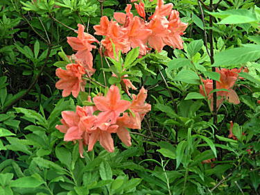 �����Q�c�c�W