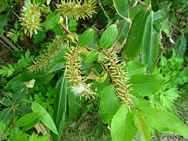 �~���}���i�M