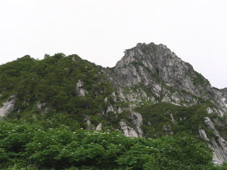 宝剣岳とウラジロナナカマド