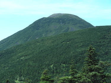 蓼科山