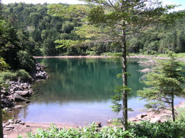 雌池