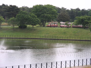 ひたち海浜公園他