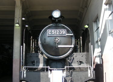 C51239