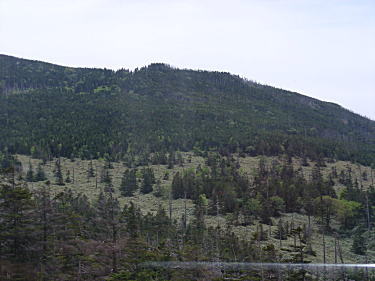 縞枯山