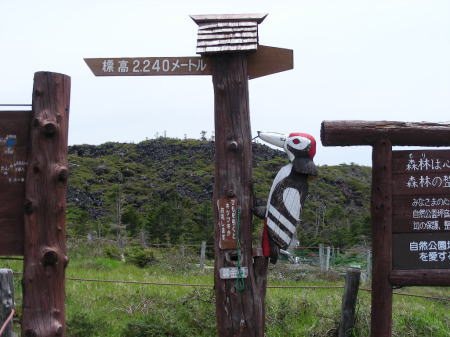 坪庭標識