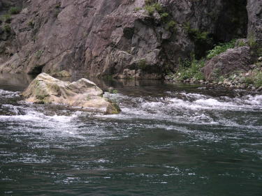 多摩川6