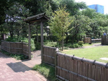 和風の庭1