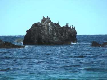 鵜の島
