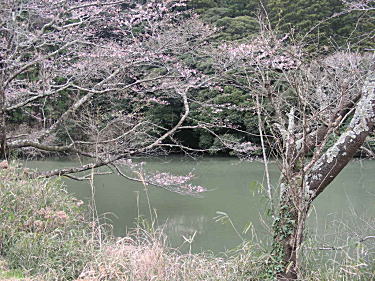 洞庭湖1