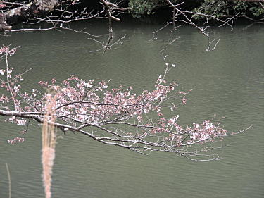 洞庭湖2
