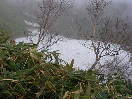 雪