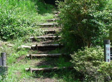 登山口