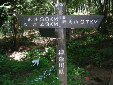分岐1