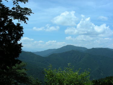 生藤山?